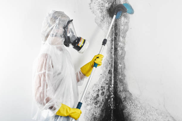 Best Post-Remediation Verification Testing  in Adrian, MI