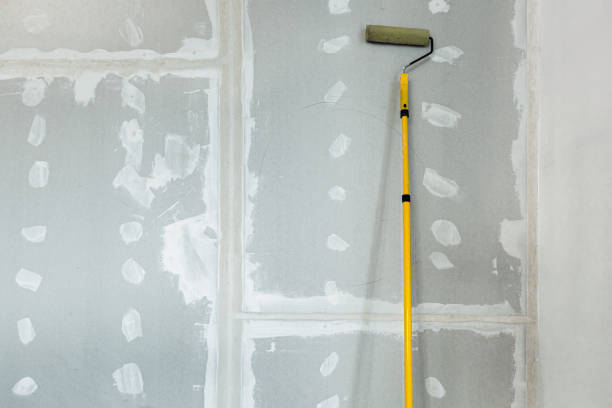 Best Post-Construction Mold Inspection  in Adrian, MI