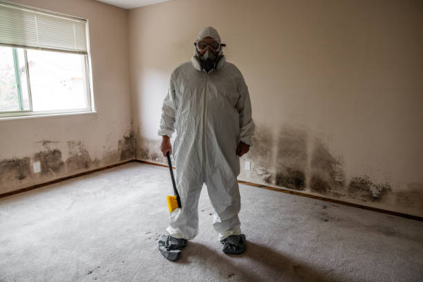 Best Residential Mold Inspection & Testing  in Adrian, MI