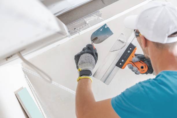 Best Mold Prevention Services  in Adrian, MI